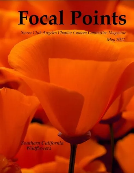 Focal Points May 2022