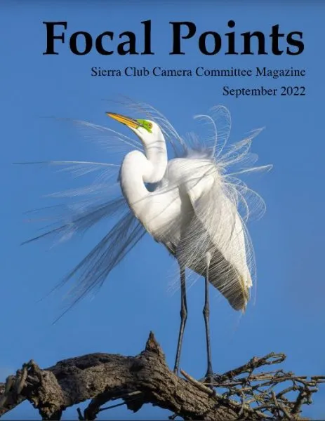 Focal Points Sept 2022