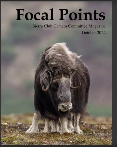 Focal Points Oct 2022