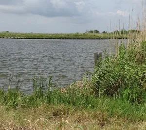 Pollution in Houston