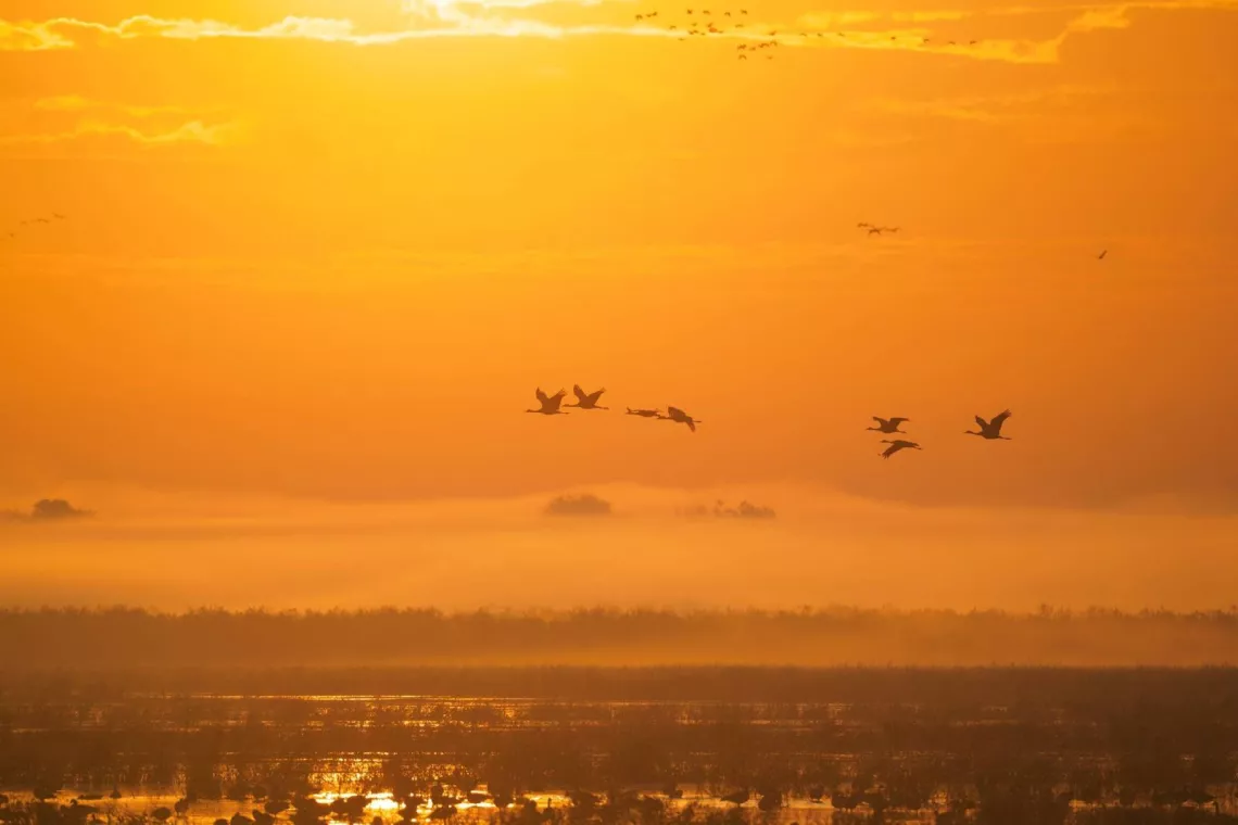 sunset over the bay-delta