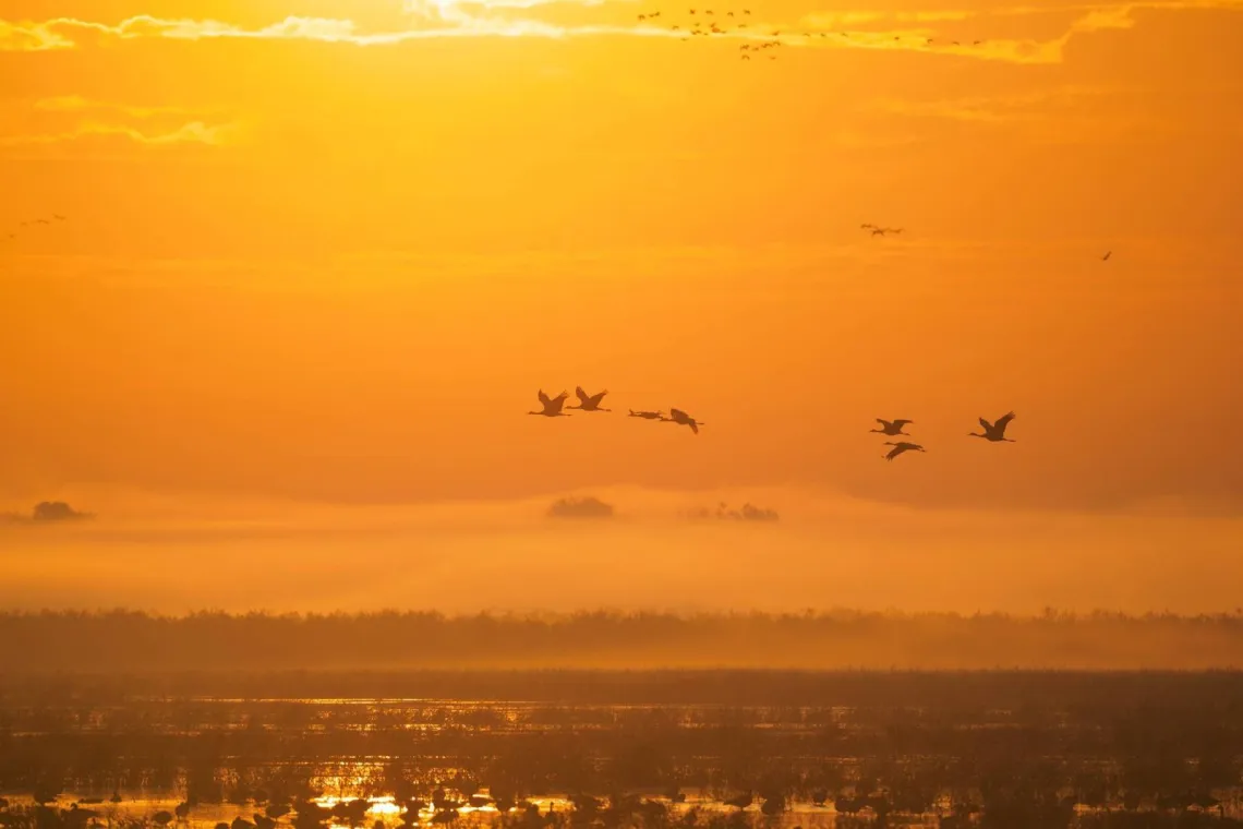 sunset over the bay-delta