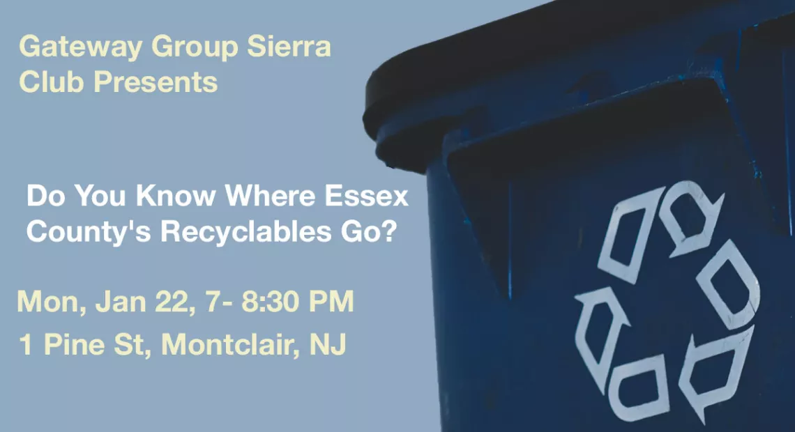 Do you Know Where Essex County’s Recyclables Go?