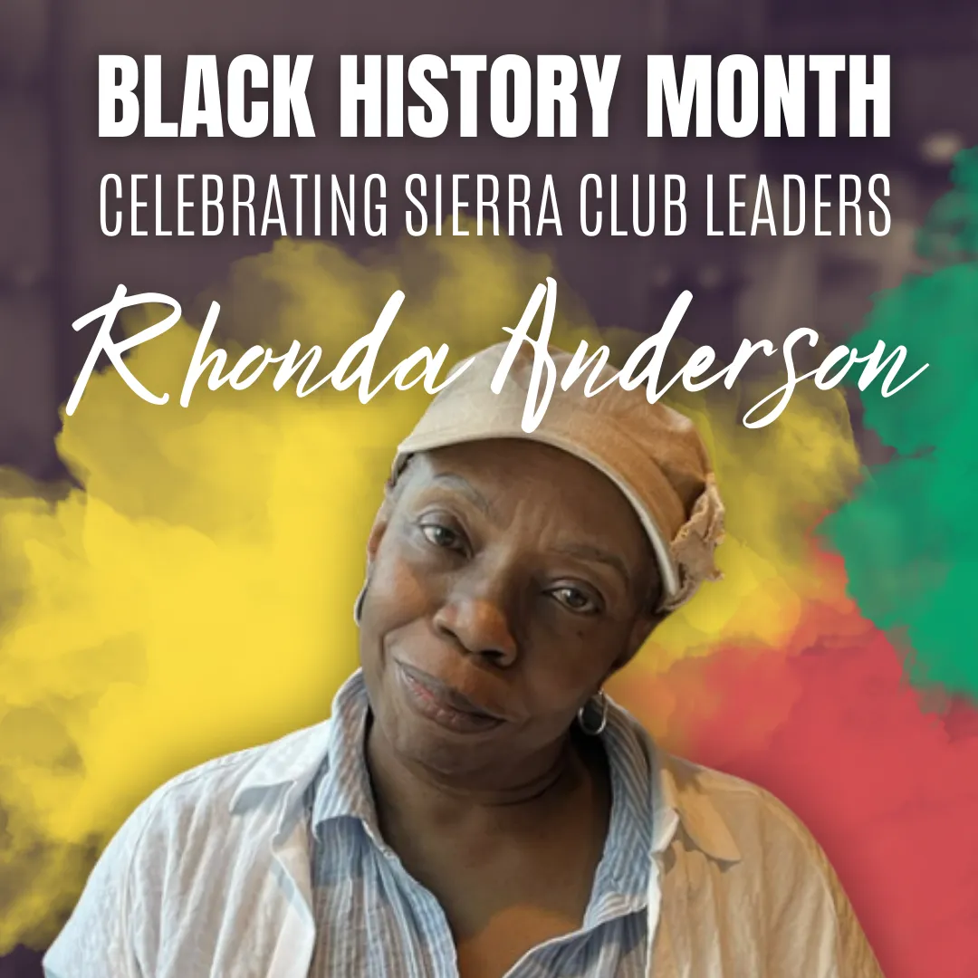 photo of rhonda anderson with colorful background