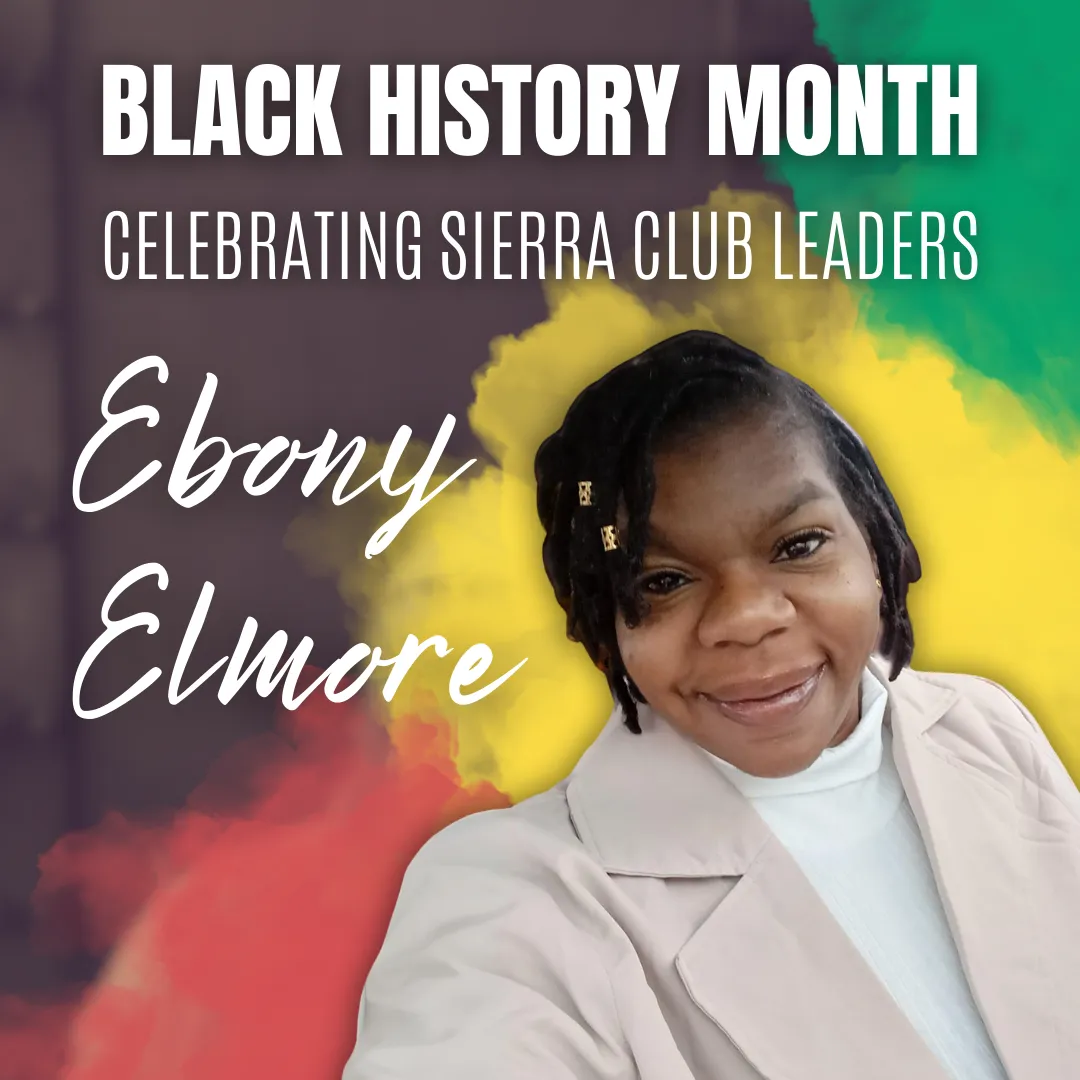 Photo of ebony elmore with colorful background