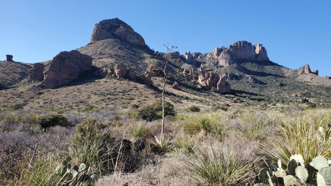Looking about exactly toward Lost Mine Peak