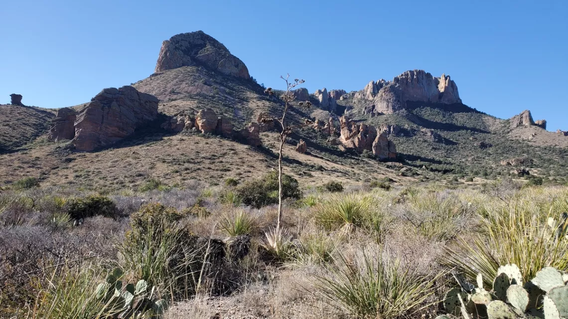 Looking about exactly toward Lost Mine Peak