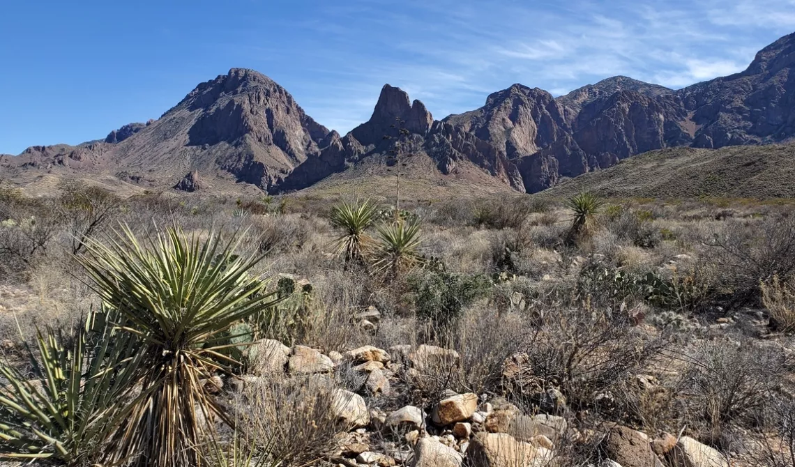 Looking east from Ross Maxwell road
