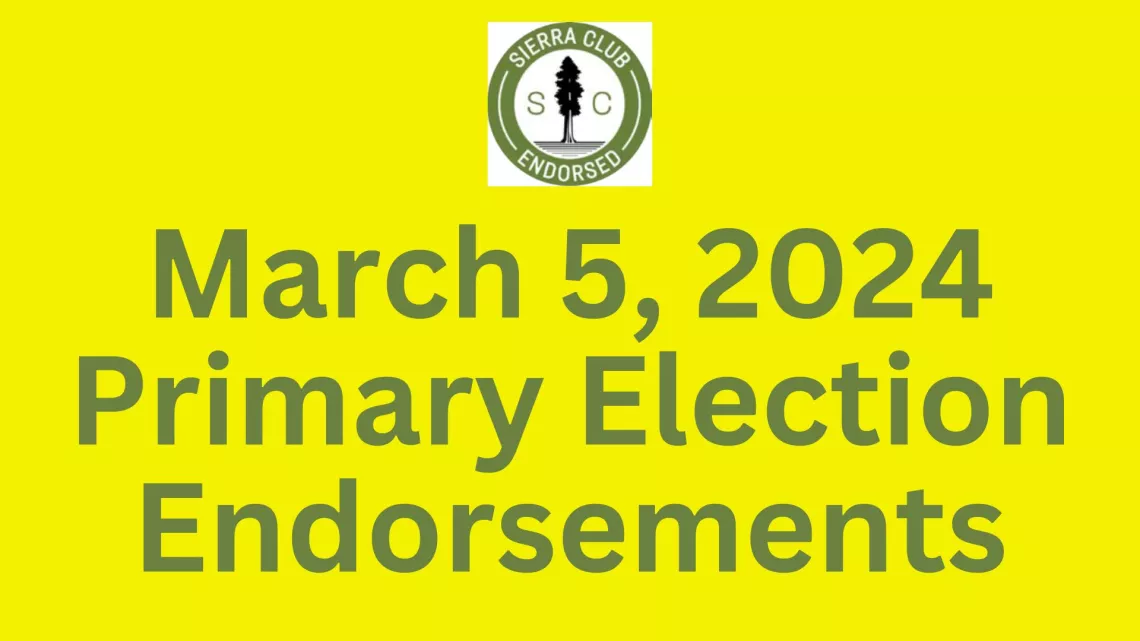 2024 Primary Election Endorsements