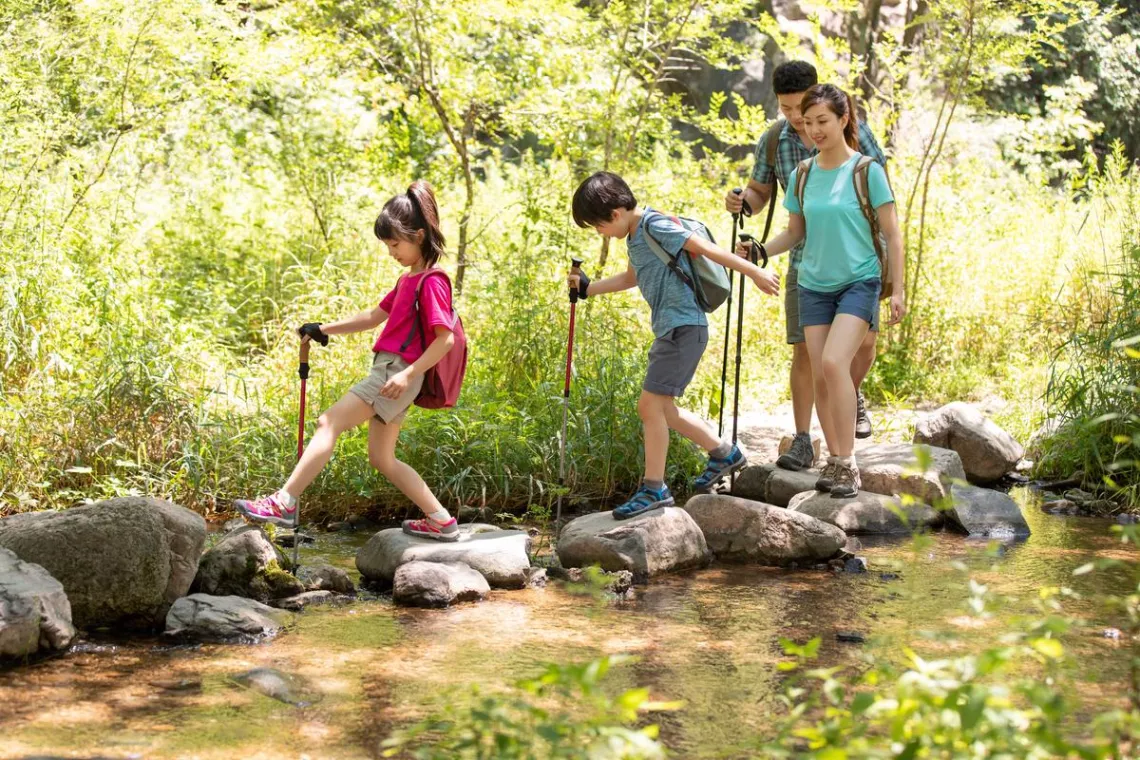 A family, two young children and two parents, walk alongside a stream surrounded by summer greenery.