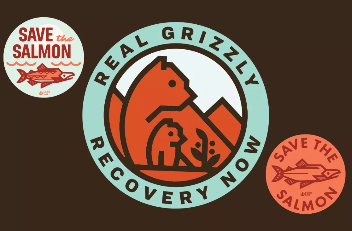 Graphic with "Save the Salmon" and "Real Grizzly Recovery Now" stickers with pics of fish and grizzly bears