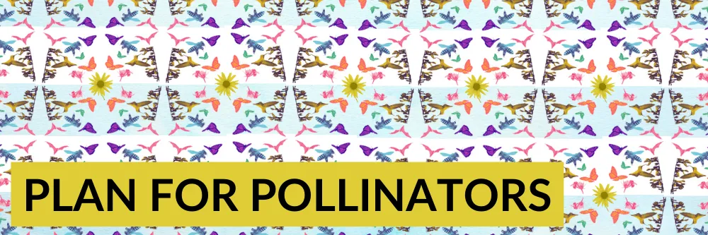 Explore & Enjoy: Plan for Pollinators | Sierra Club