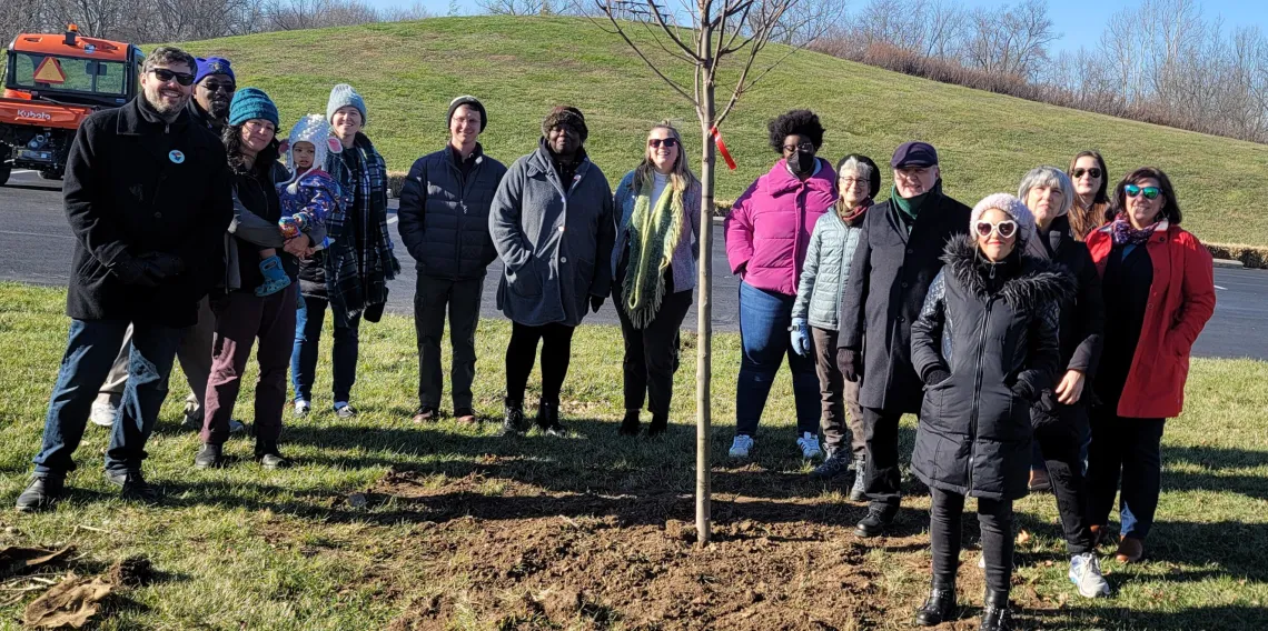 Molly's Tree Planting