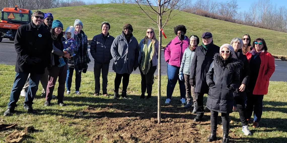 Molly's Tree Planting