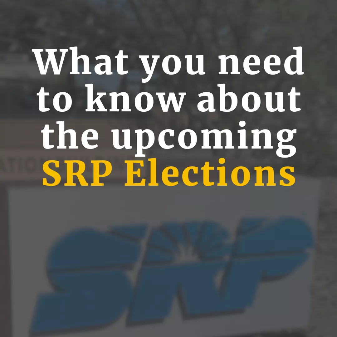 What you need to know about the upcoming SRP elections