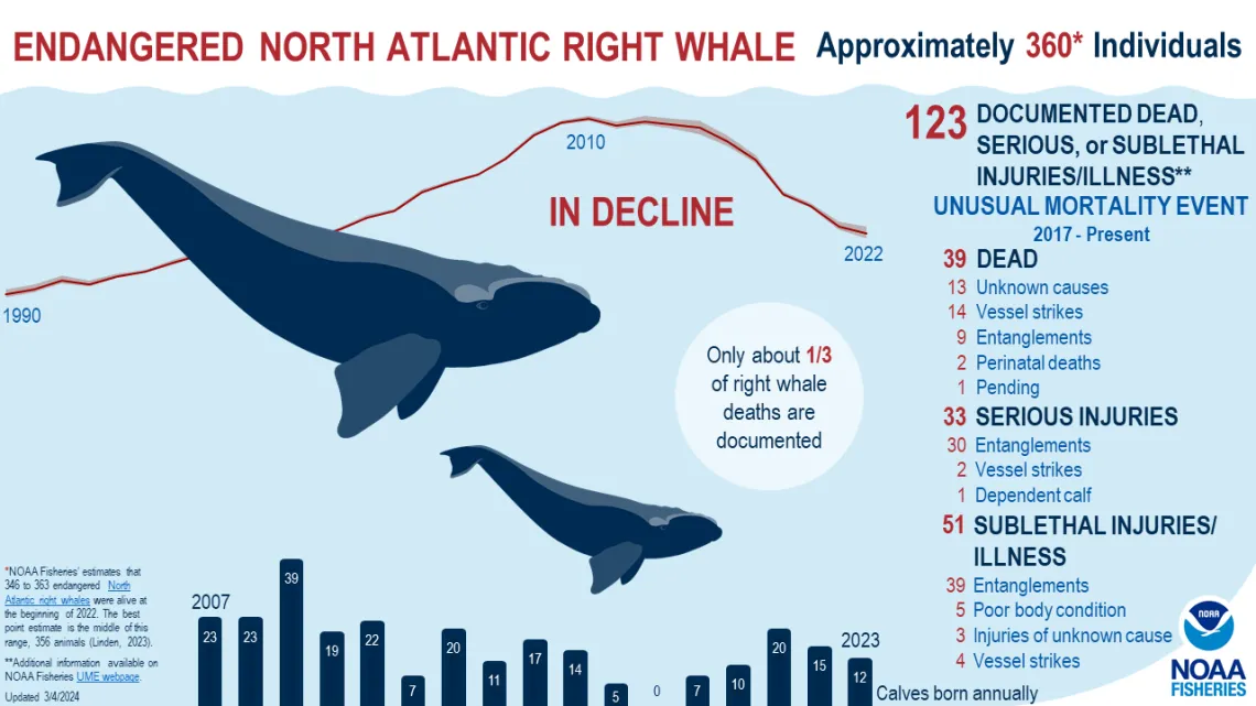 NARW infographic