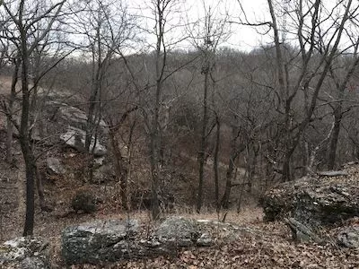 The Blue River Glades Natural Area rises above the Eddy-Ballentine Trail and features limestone outcrops, 200- to 300-year-old chinkapin oak trees, and native wildflowers in season.  The Blue River Glades Trail is a bit more strenuous than the Eddy-Ballentine Trail, but rewards visitors with spectacular views and a special respite from noisy city life. Photo by Ellen Brenneman