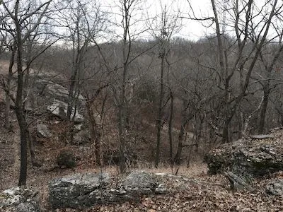 The Blue River Glades Natural Area rises above the Eddy-Ballentine Trail and features limestone outcrops, 200- to 300-year-old chinkapin oak trees, and native wildflowers in season.  The Blue River Glades Trail is a bit more strenuous than the Eddy-Ballentine Trail, but rewards visitors with spectacular views and a special respite from noisy city life. Photo by Ellen Brenneman