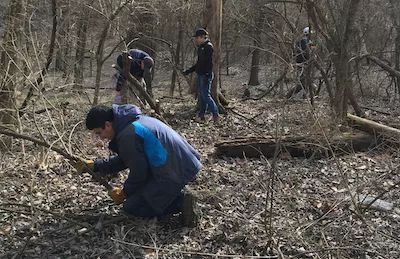 Chris Simpson, who is training to be a Sierra Club Outings Leader, helps get rid of invasive honeysuckle at a February trail-maintenance day. Sierra Club offers scholarships to our popular Backpacking and Wilderness Navigation classes for those in their 20's and 30's if they attend all classes and come to at least one trail-maintenance day.  Photo by Ellen Brenneman