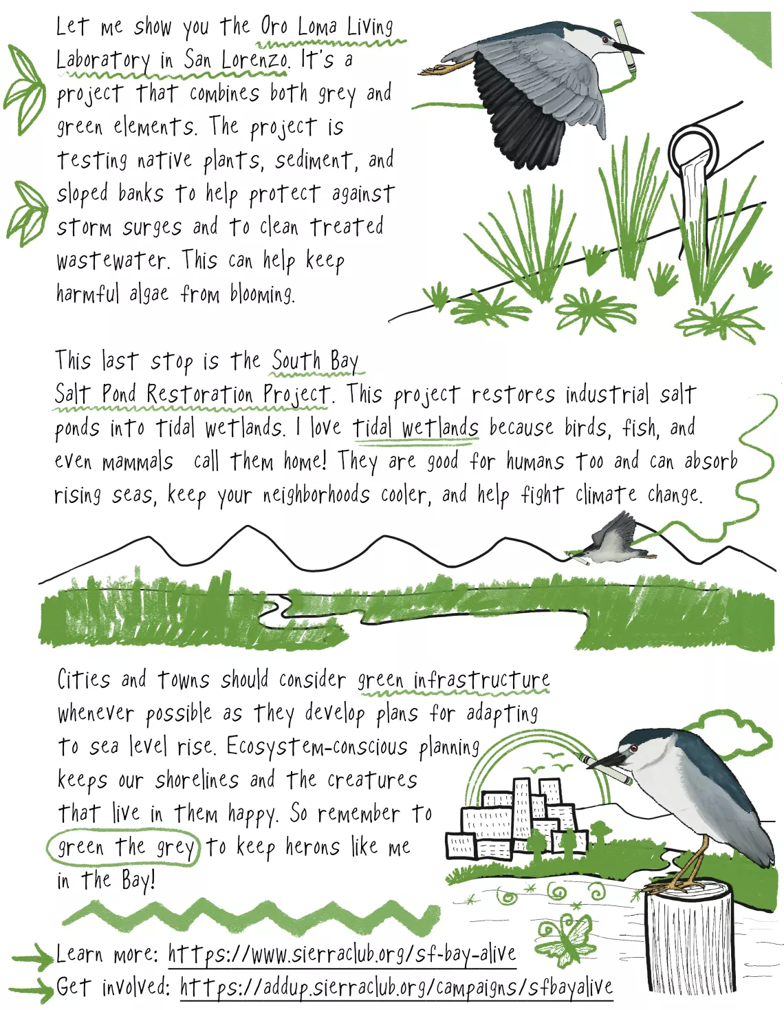 Heron and the Green Crayon illustration 