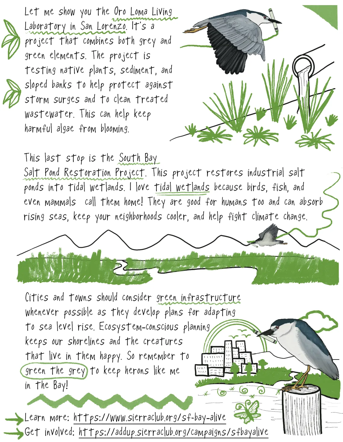 Heron and the Green Crayon illustration 