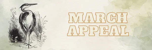 MARCH APPEAL GRAPHIC