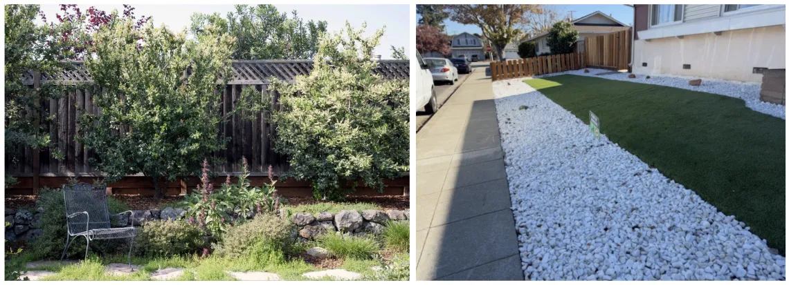 Drought tolerant native yard .vs. Plastic turf strip