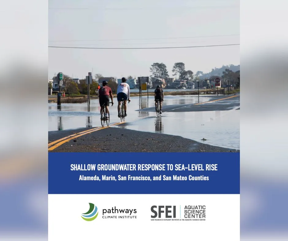 SFEI Shallow Groundwater Response