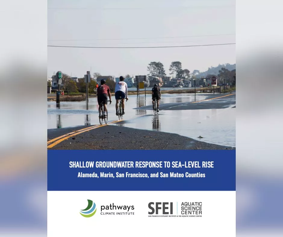 SFEI Shallow Groundwater Response