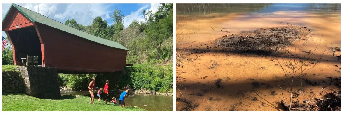 mvp-pollution-courtest-kellie-ferguson