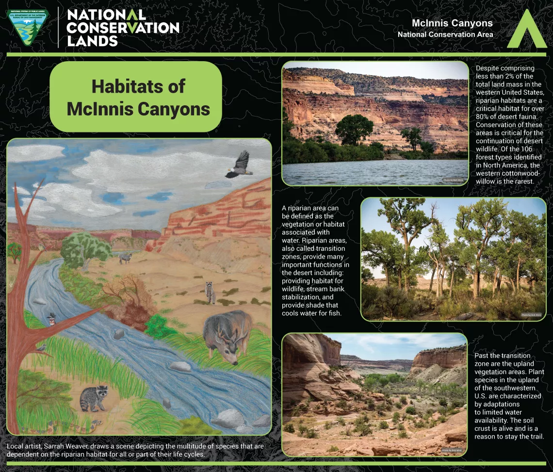 Western Slope Poster - Habitats of McInnis Canyons