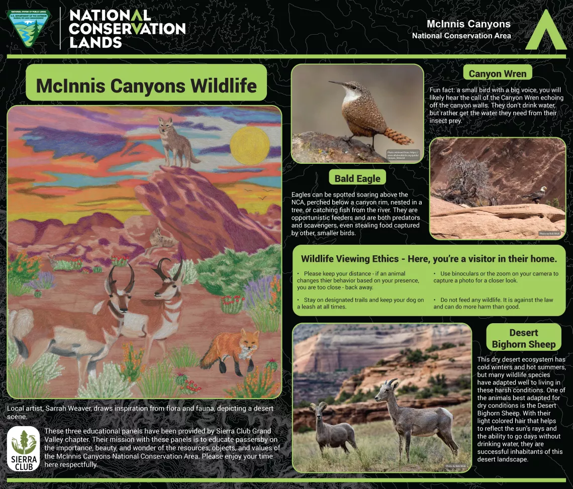 Western Slope Poster - McInnis Canyons Wildlife
