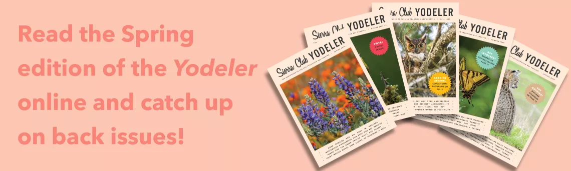Read the Spring edition of the Yodeler online and catch up on back issues!