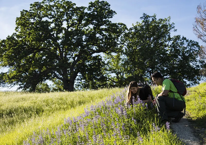 Two people sitting among a grassy hill side with purple flowers and trees in the distance