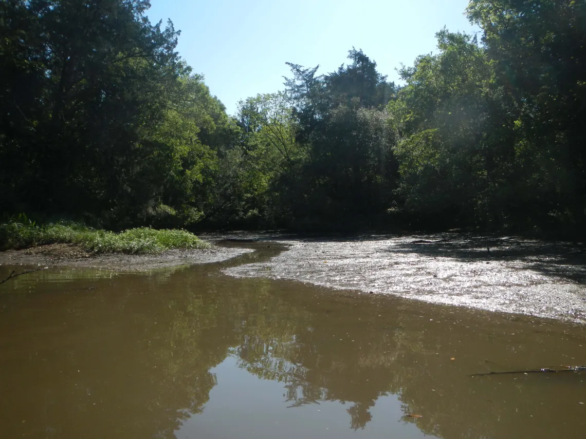 Big Island Slough