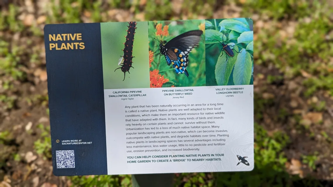 Native Plants