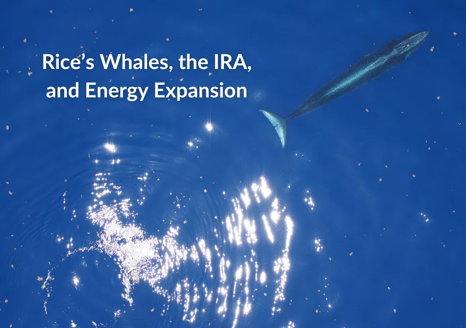 A long, slim whale is spotted from above in brilliant blue waters. Text: Rice's Whales, the IRA, and Energy Expansion