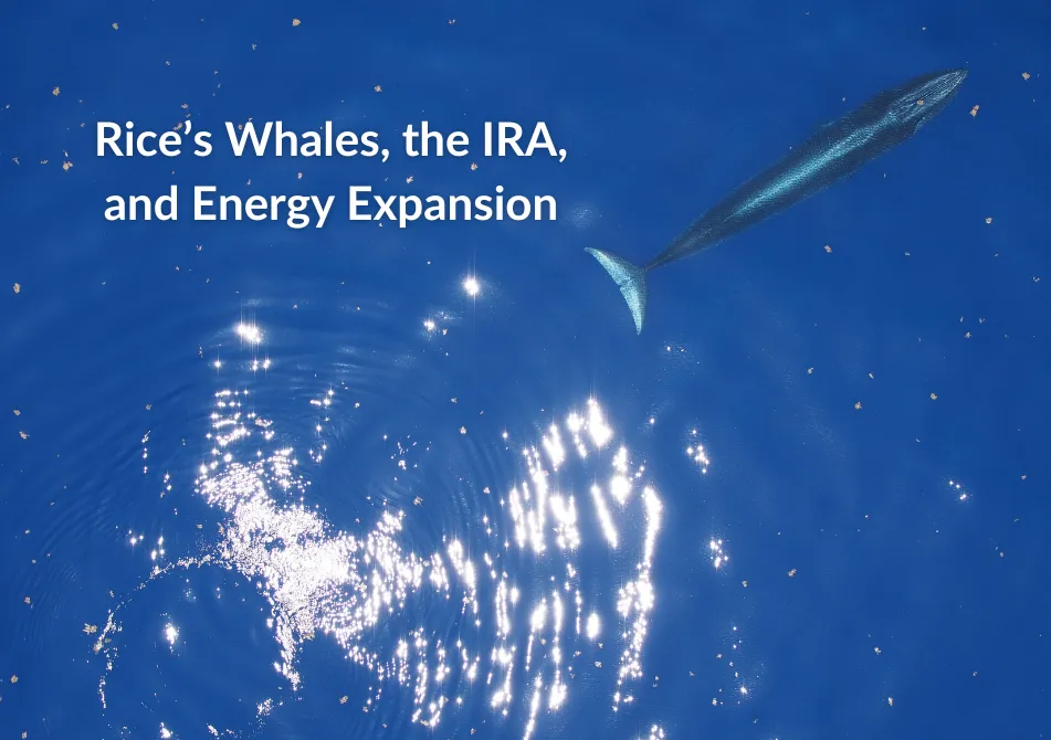 A long, slim whale is spotted from above in brilliant blue waters. Text: Rice's Whales, the IRA, and Energy Expansion