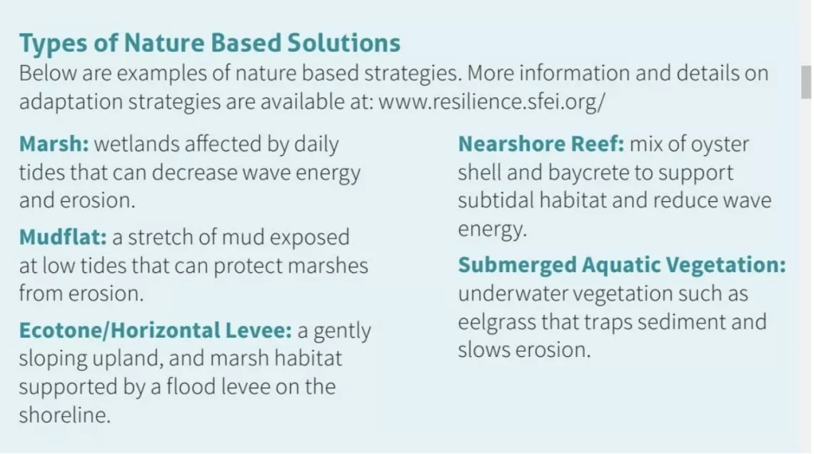 Types of Nature Based Solutions