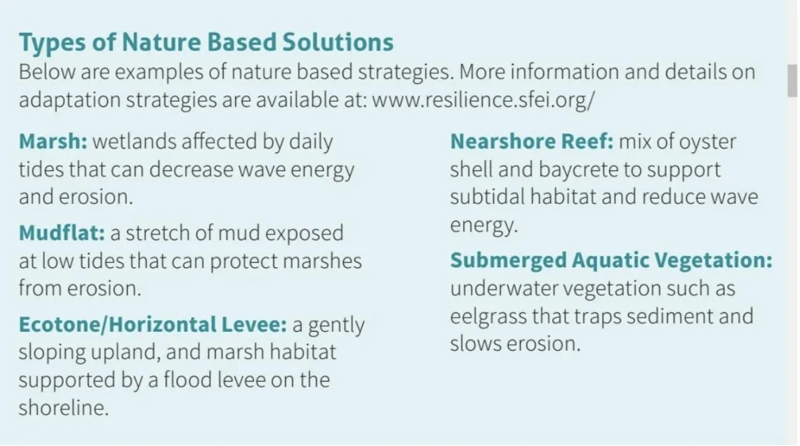 Types of Nature Based Solutions