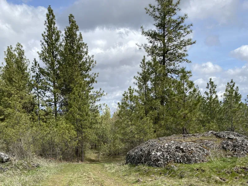 Thorpe Property