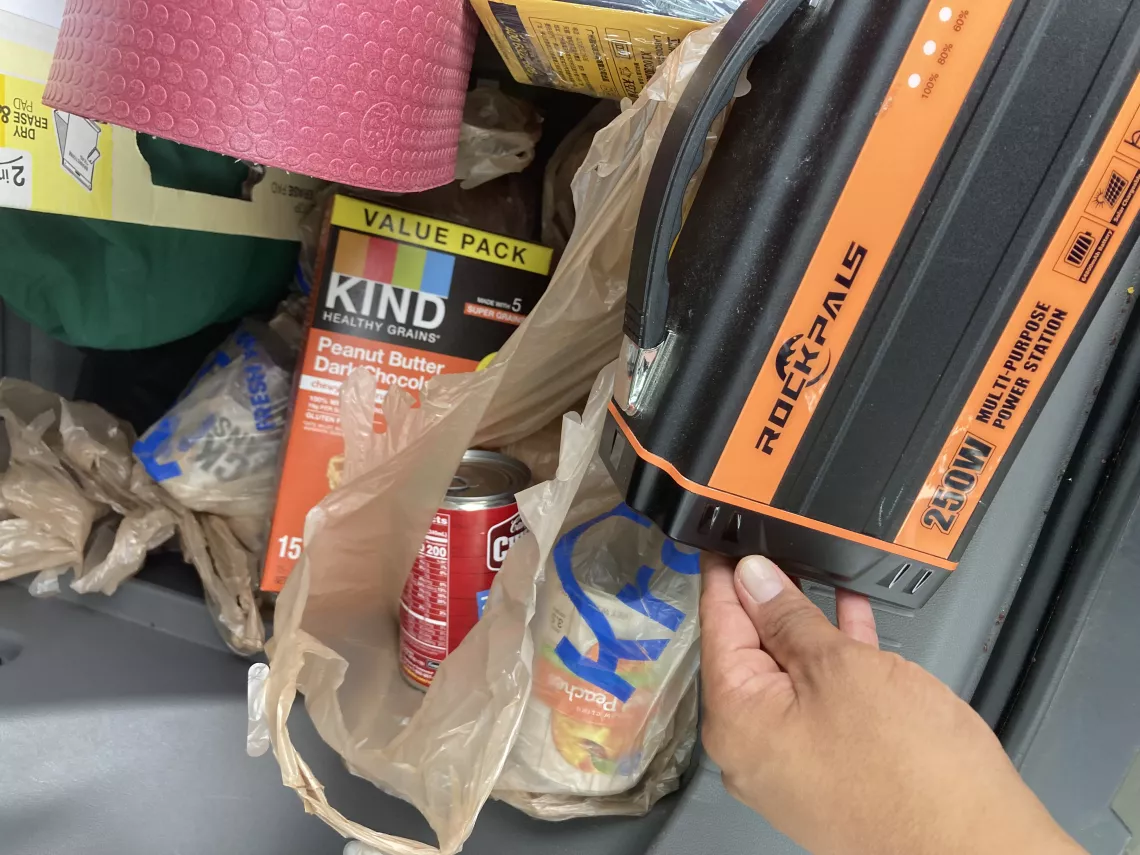 Grocery bags of batteries and food