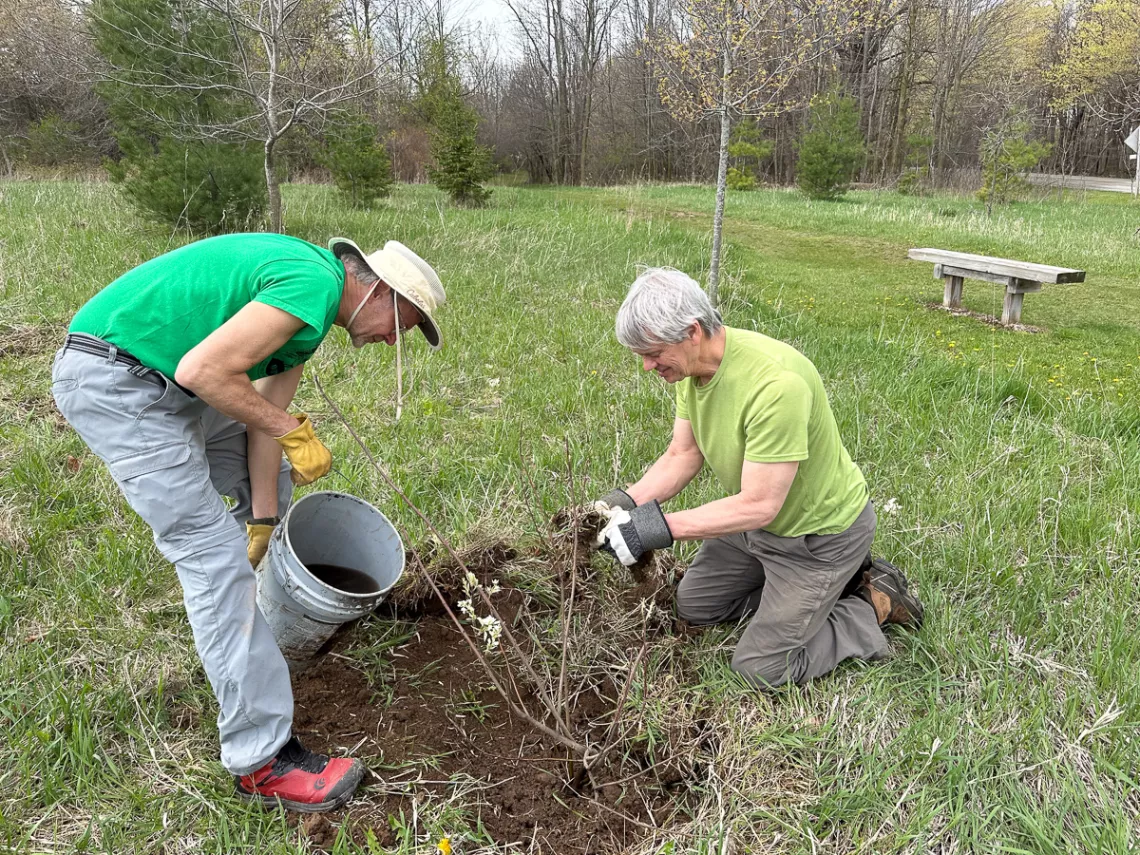 Peter and Monny planting tree