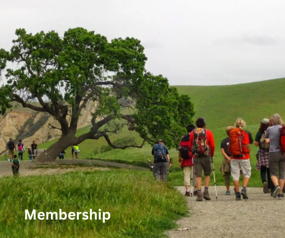 Several hikers, some with red jackets, in a green landscape