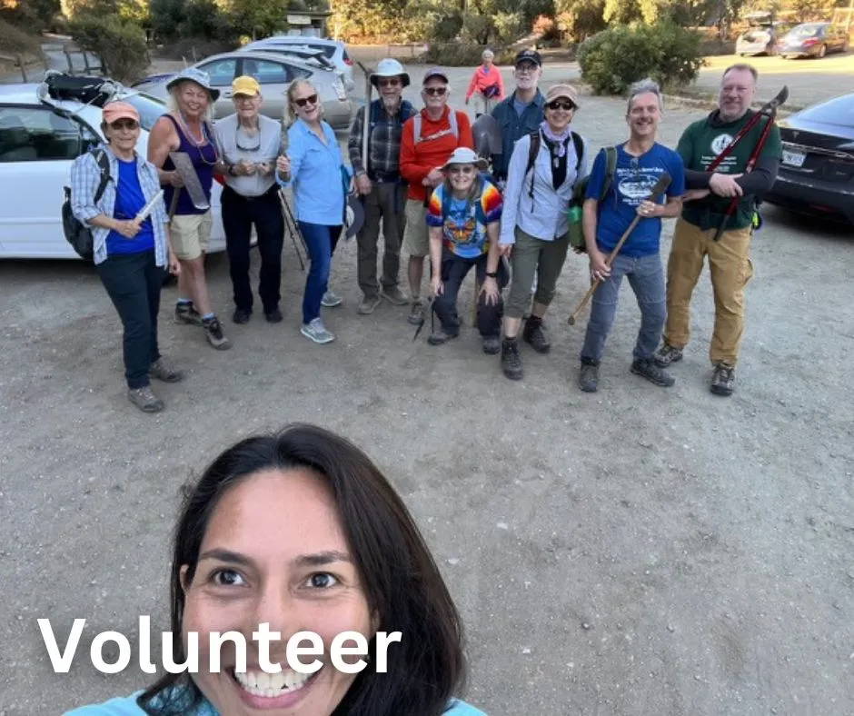 Volunteer