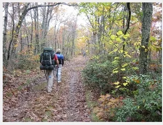 Hiking in the woods