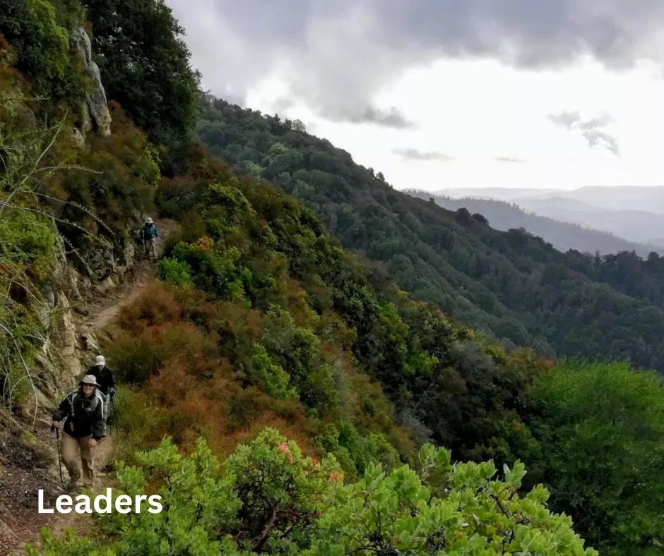 Hikers under a stormy sky, one clearly the leader