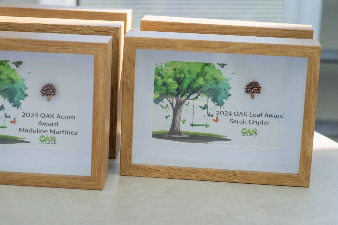 Awards stacked on a table