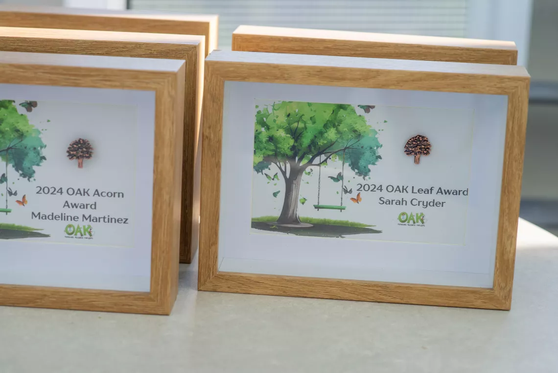 Awards stacked on a table