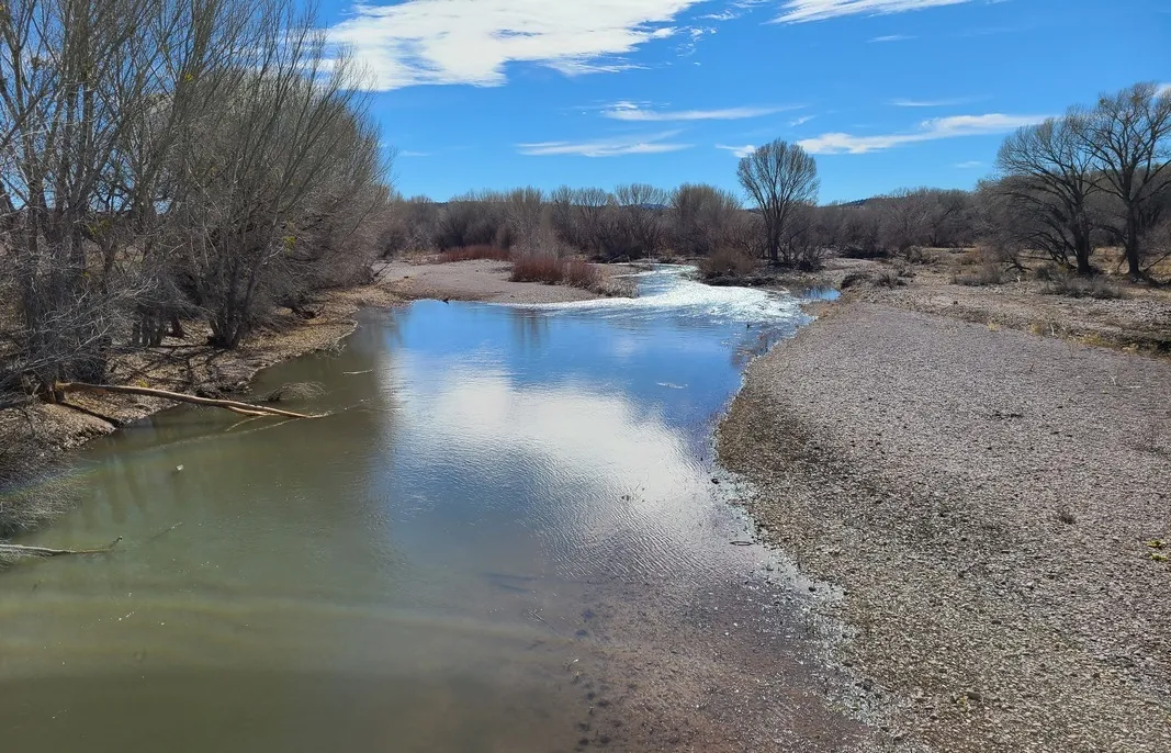 On the west side of the river in the Mogollon Box unit